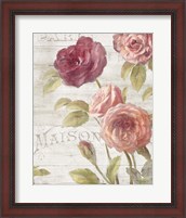 Framed French Roses III