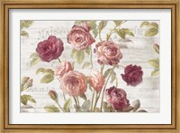 Framed French Roses I
