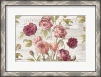 Framed French Roses I