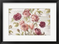 Framed French Roses I