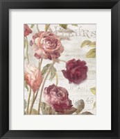 Framed French Roses II