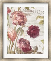 Framed French Roses II