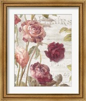 Framed 'French Roses II' border=