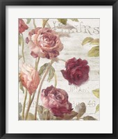 Framed 'French Roses II' border=