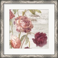 Framed 'French Roses IV' border=