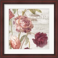 Framed French Roses IV