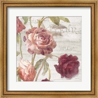 Framed French Roses IV