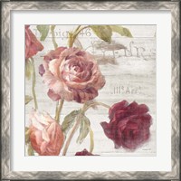 Framed 'French Roses IV' border=