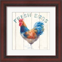 Framed Fresh Eggs Hen