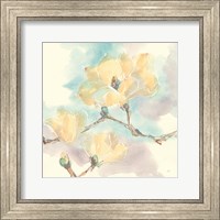 Framed Magnolias in White I