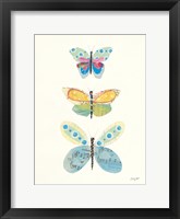 Butterfly Charts IV Framed Print
