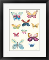 Framed Butterfly Charts I