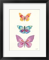 Butterfly Charts III Framed Print