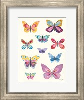Framed Butterfly Charts II