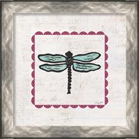 Framed 'Dragonfly Stamp Bright' border=