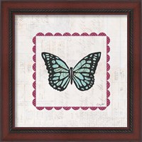 Framed 'Butterfly Stamp Bright' border=