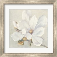 Framed 'Serene Magnolia' border=