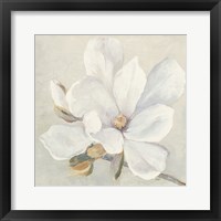 Framed 'Serene Magnolia' border=