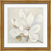 Framed Serene Magnolia