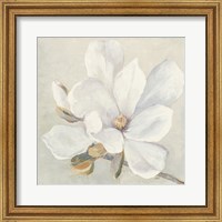 Framed 'Serene Magnolia' border=