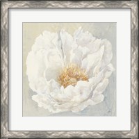 Framed 'Serene Peony' border=