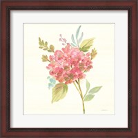 Framed Petals and Blossoms VII