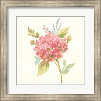 Framed Petals and Blossoms VII