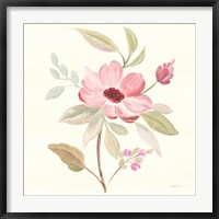 Framed Petals and Blossoms VI