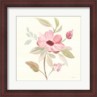 Framed Petals and Blossoms VI