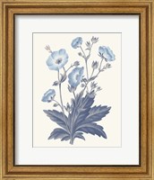 Framed Blue Botanical VI