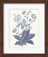 Framed Blue Botanical VI