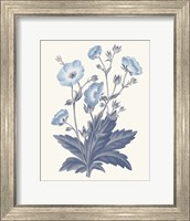 Framed Blue Botanical VI