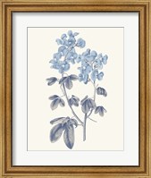 Framed Blue Botanical III