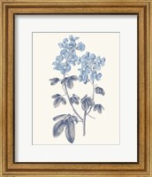 Framed Blue Botanical III