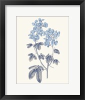 Framed Blue Botanical III