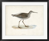 Framed Sandpiper V