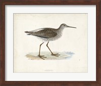 Framed Sandpiper V