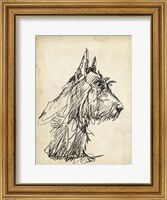 Framed Breed Studies I