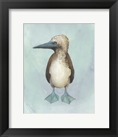 Framed 'Watercolor Beach Bird I' border=