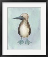 Watercolor Beach Bird I Framed Print