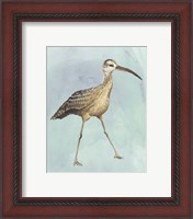 Framed 'Watercolor Beach Bird II' border=