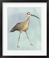 Watercolor Beach Bird II Framed Print