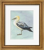 Framed 'Watercolor Beach Bird III' border=