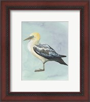 Framed 'Watercolor Beach Bird III' border=