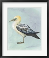 Watercolor Beach Bird III Framed Print