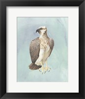 Framed Watercolor Beach Bird IV