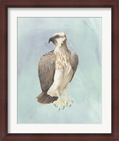 Framed Watercolor Beach Bird IV