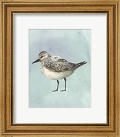 Framed 'Watercolor Beach Bird V' border=