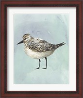Framed 'Watercolor Beach Bird V' border=