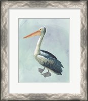 Framed 'Watercolor Beach Bird VI' border=